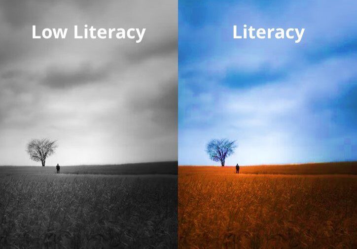 Contrast between low literacy and literacy depicted with color and clarity.